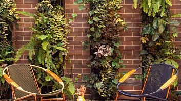 Photo gallery ofCasa Rosé Hotel