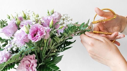 Acompañamiento personalizado