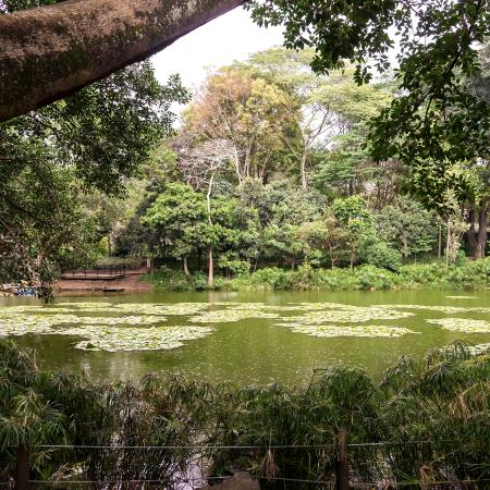 Jardín Botánico de Medellín