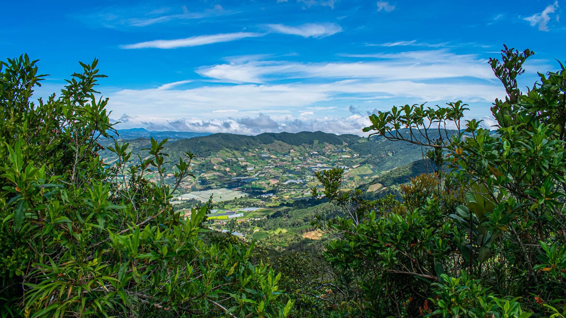 El Carmen de Viboral