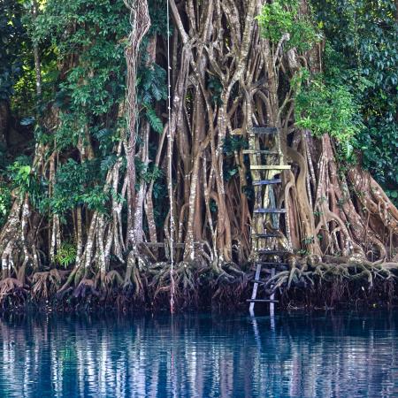 Espíritu del Manglar Park