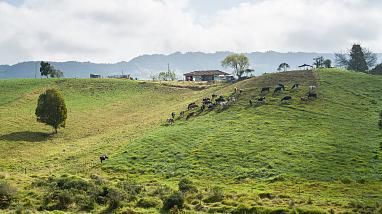 El Carmen de ViboralTradición, arte y esencia antioqueña