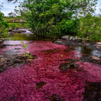 La naturaleza más auténtica de Colombia